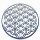 Fenster-, Kraftbild Blume des Lebens Edelstahl silberfarben Ø 11 cm       