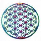 Fenster-, Kraftbild Blume des Lebens Edelstahl regenbogenfarben Ø 21 cm       