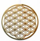 Fenster-, Kraftbild Blume des Lebens Edelstahl goldfarben Ø 11 cm       