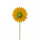 Gartenstecker Windrad "Gerbera" gelb