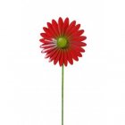 Gartenstecker Windrad "Gerbera" rot