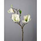 MAGNOLIE WEISS 53CM